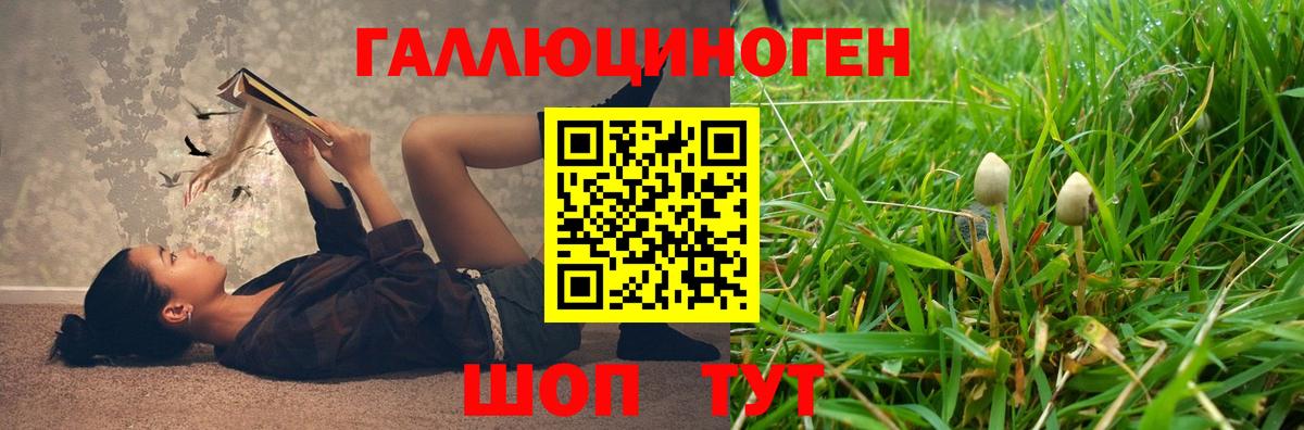 Псилоцибиновые грибы мицелий Новокуйбышевск